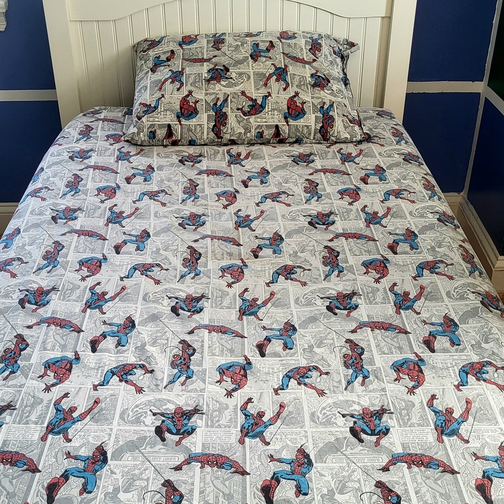 Pottery Barn 3 piece twin size bedding